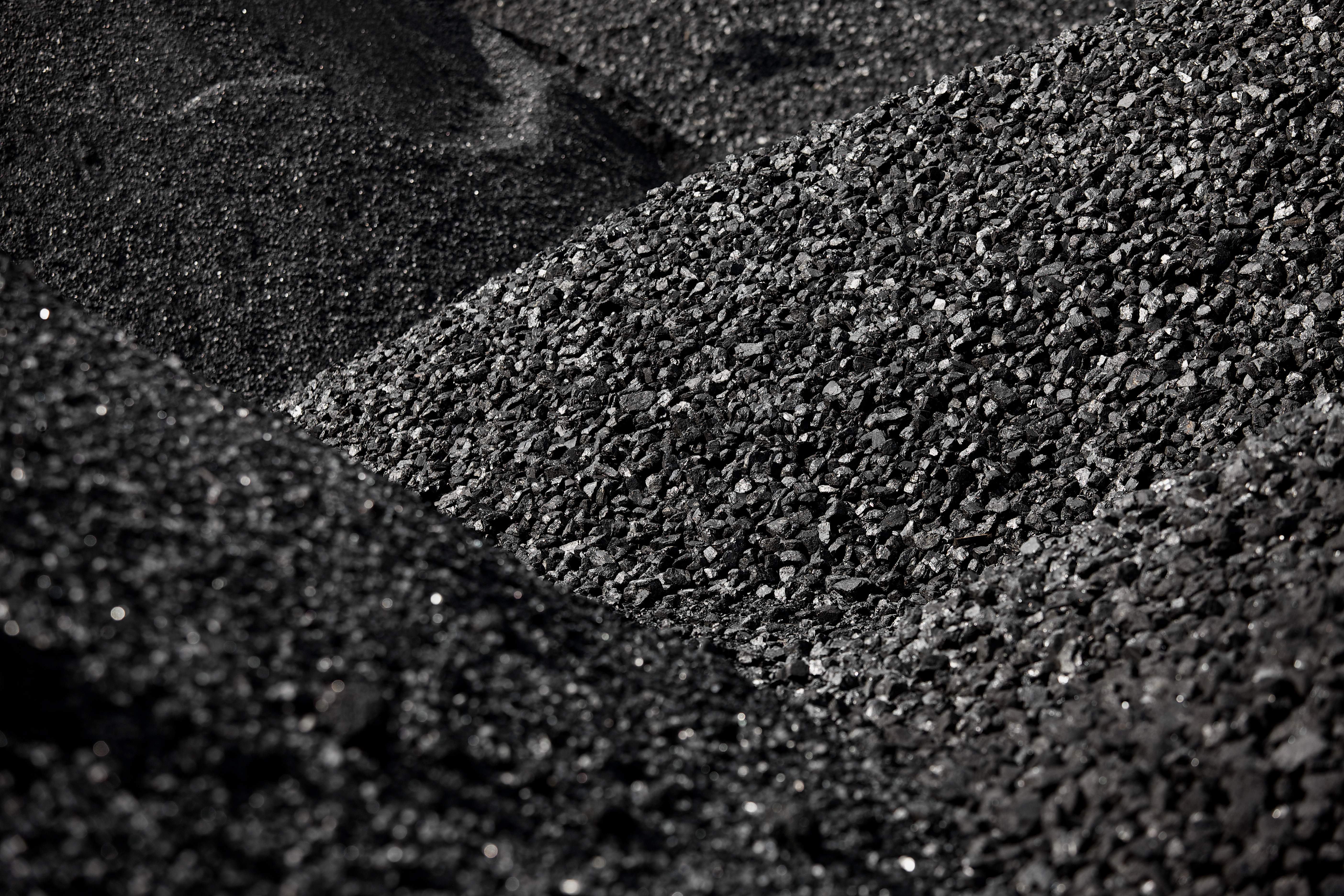 Coal Inspection, Cargo Inspection